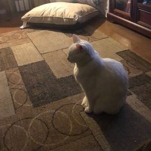 Meet your Posher, Martha